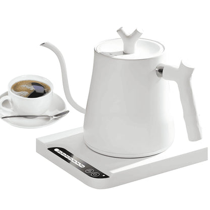 鹅颈电水壶，温度控制及保温功能，7档温度调节，快速加热，不锈钢材质，适用于冲泡咖啡和茶，800瓦/1升