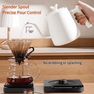 鹅颈电水壶，温度控制及保温功能，7档温度调节，快速加热，不锈钢材质，适用于冲泡咖啡和茶，800瓦/1升